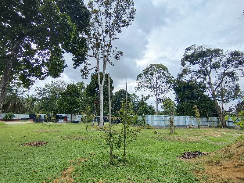 Land For Sale @Nibong Tebal - photo 3