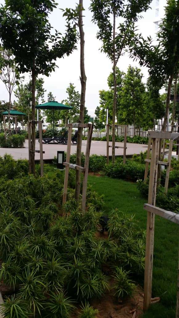 Jadite Suites, Jade Hill, Kajang - photo 10