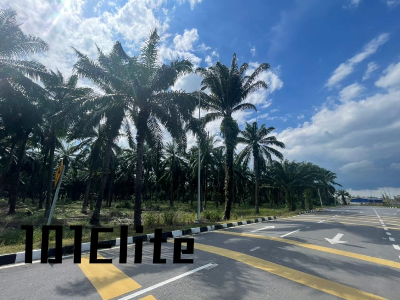 Olak Lempit Banting Agriculture Land Industrial Zo - photo 5