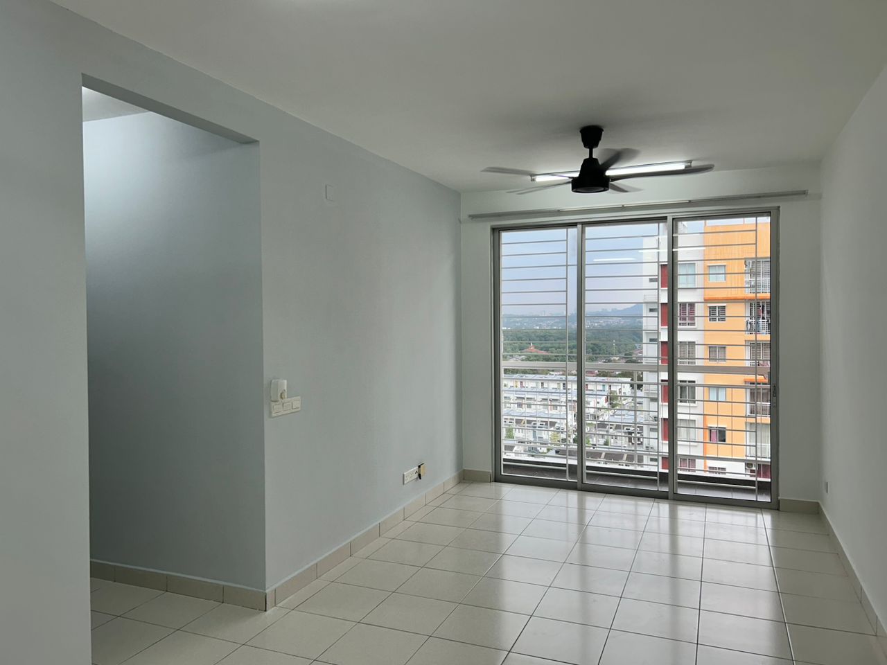 d cassia - photo 6