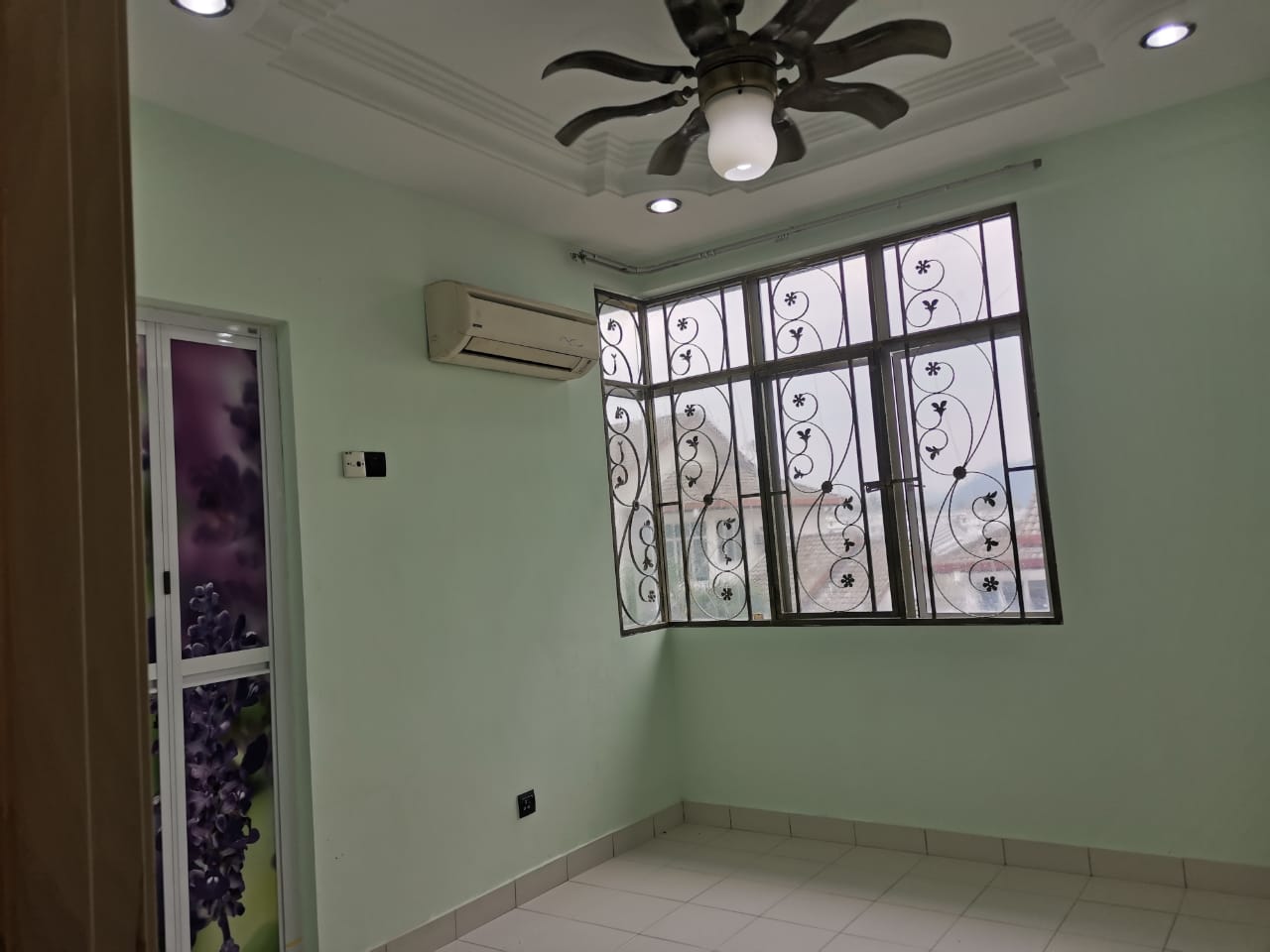 taragon puteri for sale - photo 5