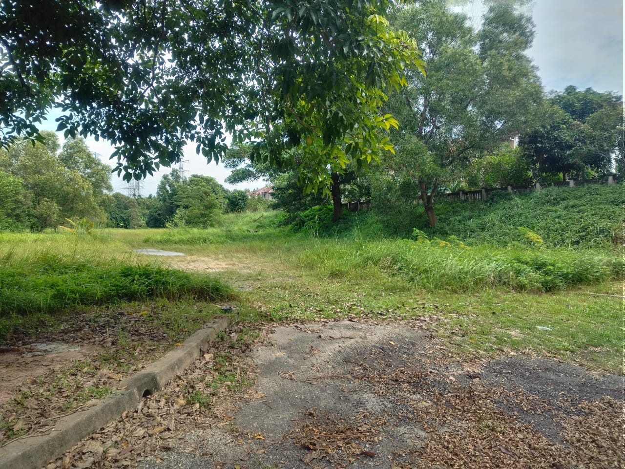 USJ Heights Residential Land For Sale by Wind - photo 2