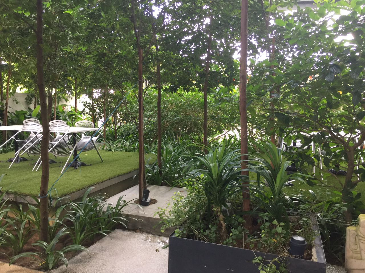 damai 88 residence - photo 13