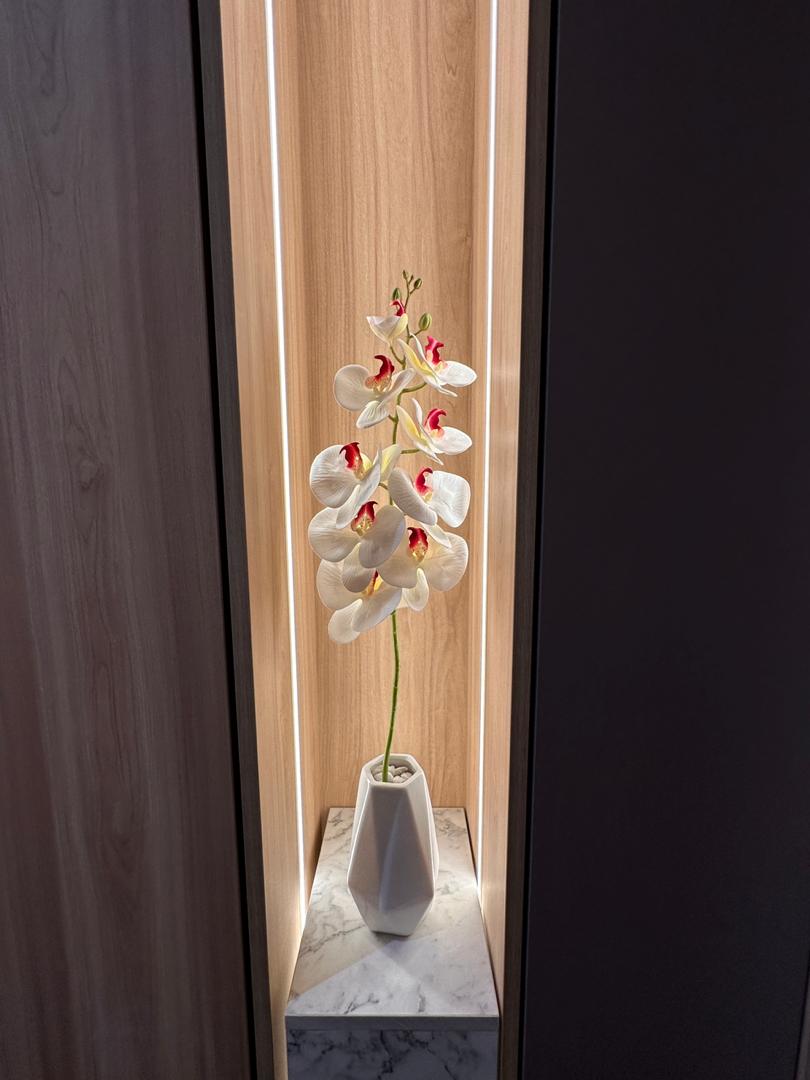 Dalia residence for rent - photo 11
