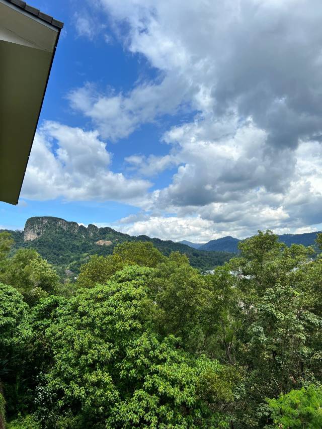 Amberhill for rent - photo 12
