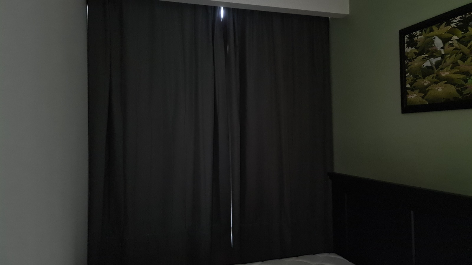 Avara residence - photo 4