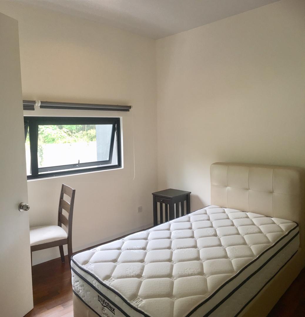 Blu constellation for rent - photo 6