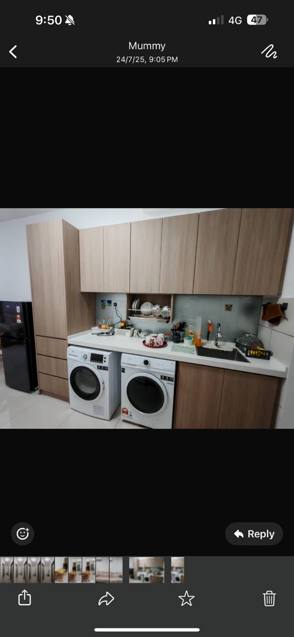 Dvervain for rent - photo 3