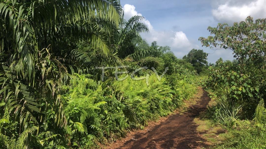 2acres Johan Setia Klang