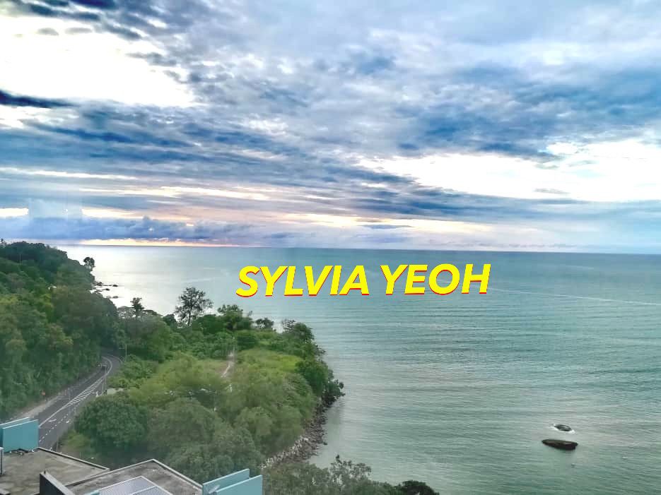 Island Resort Seaview Full Funish Batu Ferringhi - photo 4