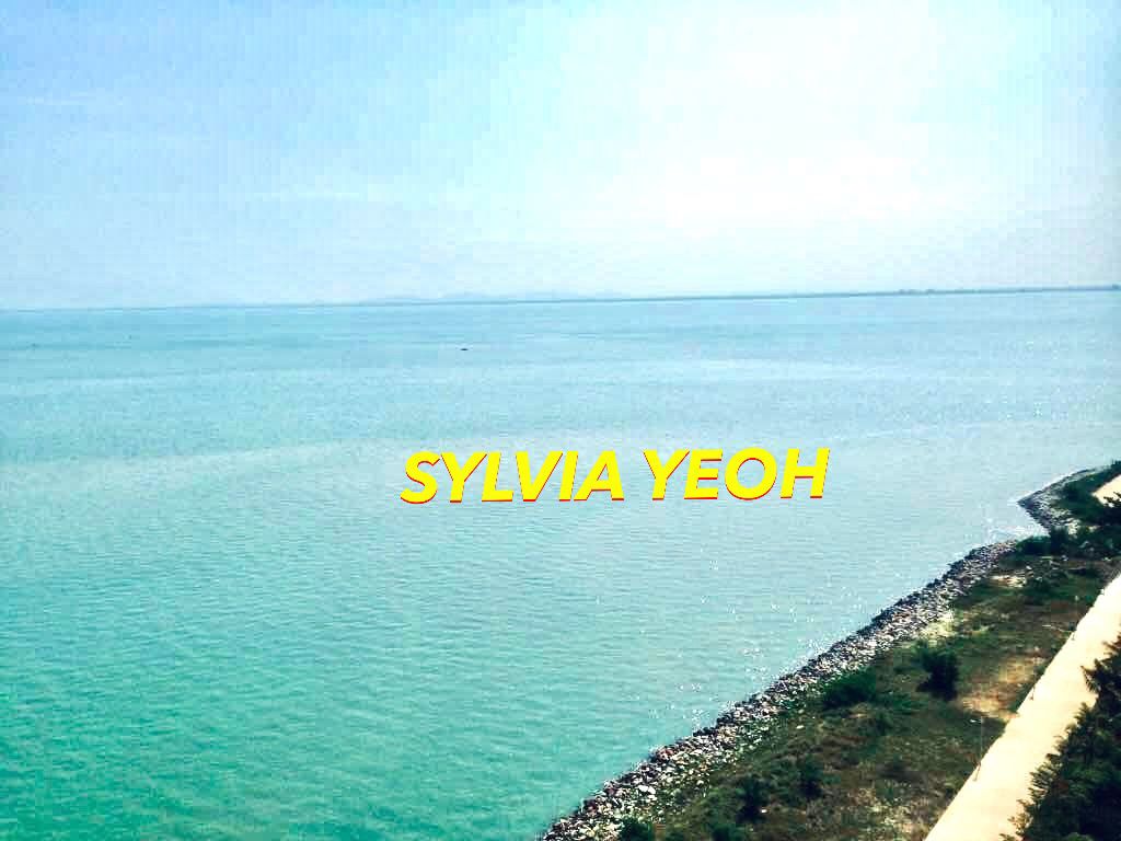 Quayside 1137sf Seaview Tanjung Tokong Straits - photo 8