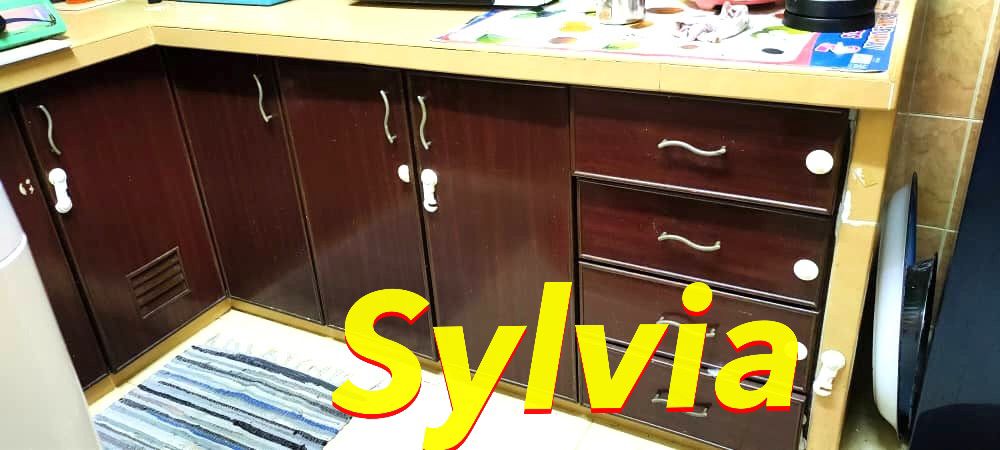 Medan Tengku Apartment, Jelutong - photo 5