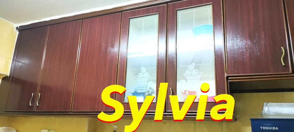 Medan Tengku Apartment, Jelutong - photo 7