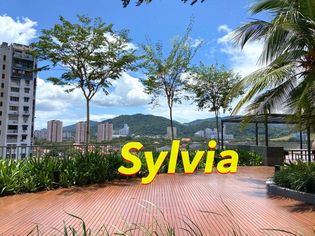 Setia Sky Ville 1239sf Jelutong - photo 6