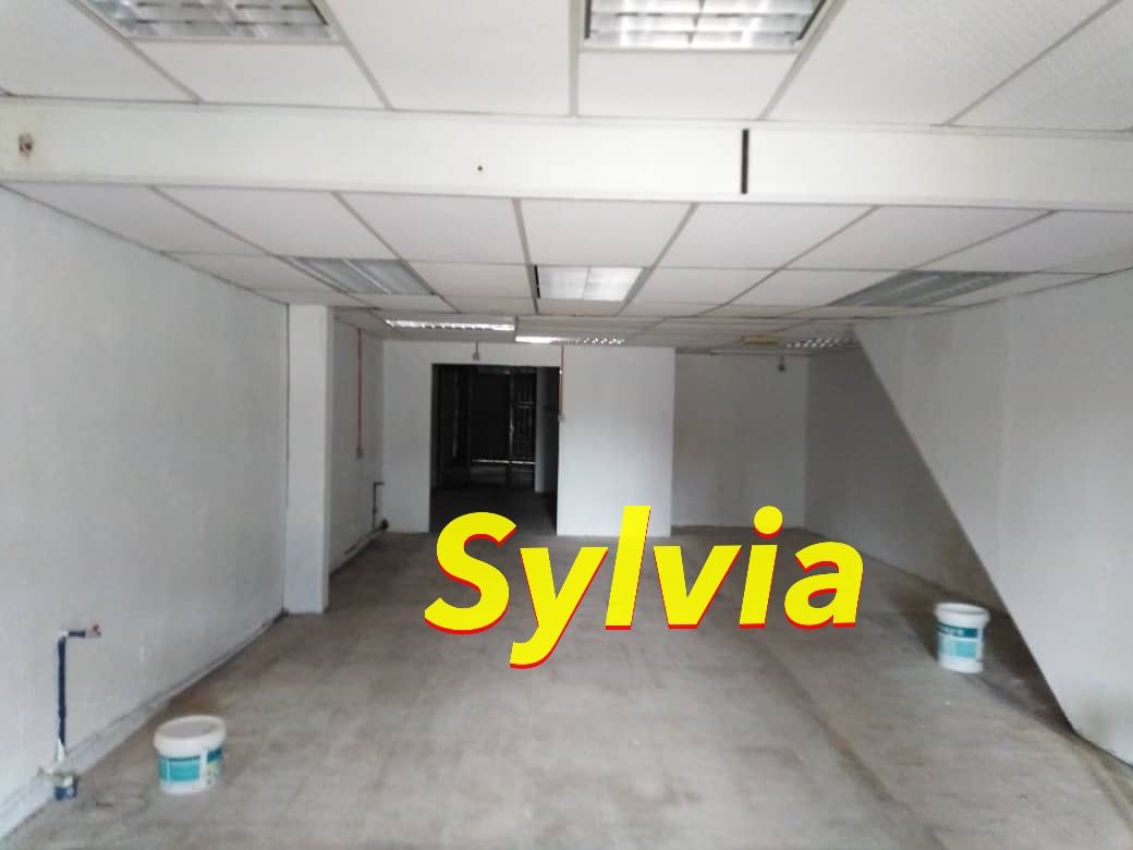 Jelutong Ground Floor Shop House - photo 2