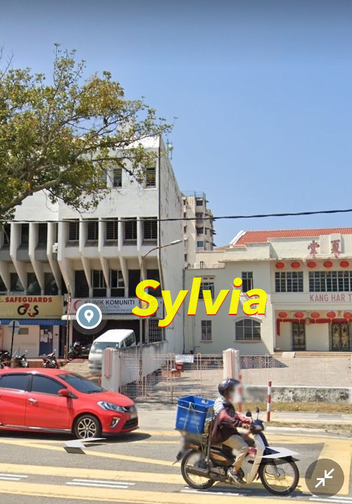 Jelutong Ground Floor Shop House - photo 4