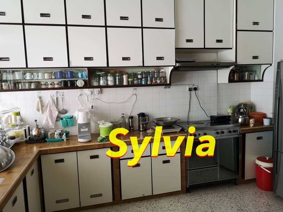 Lengkok Halia Terrace House, Tanjung Tokong - photo 5