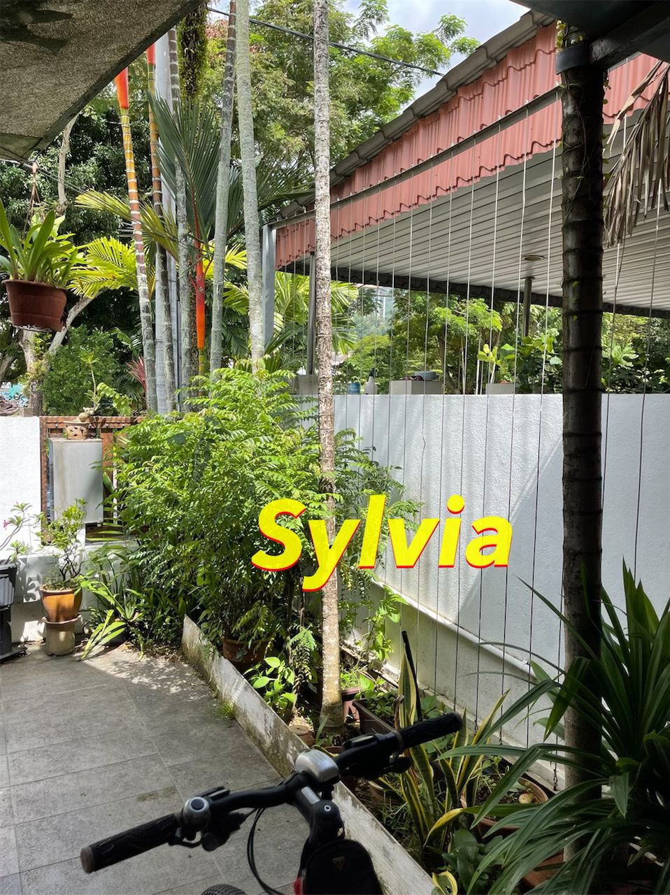 Ayer Itam Terrace House at Paya Terubong - photo 7