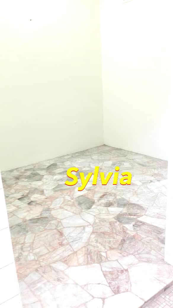 Tanjung Tokong 1 Storey Terrace House Fettes Park - photo 5