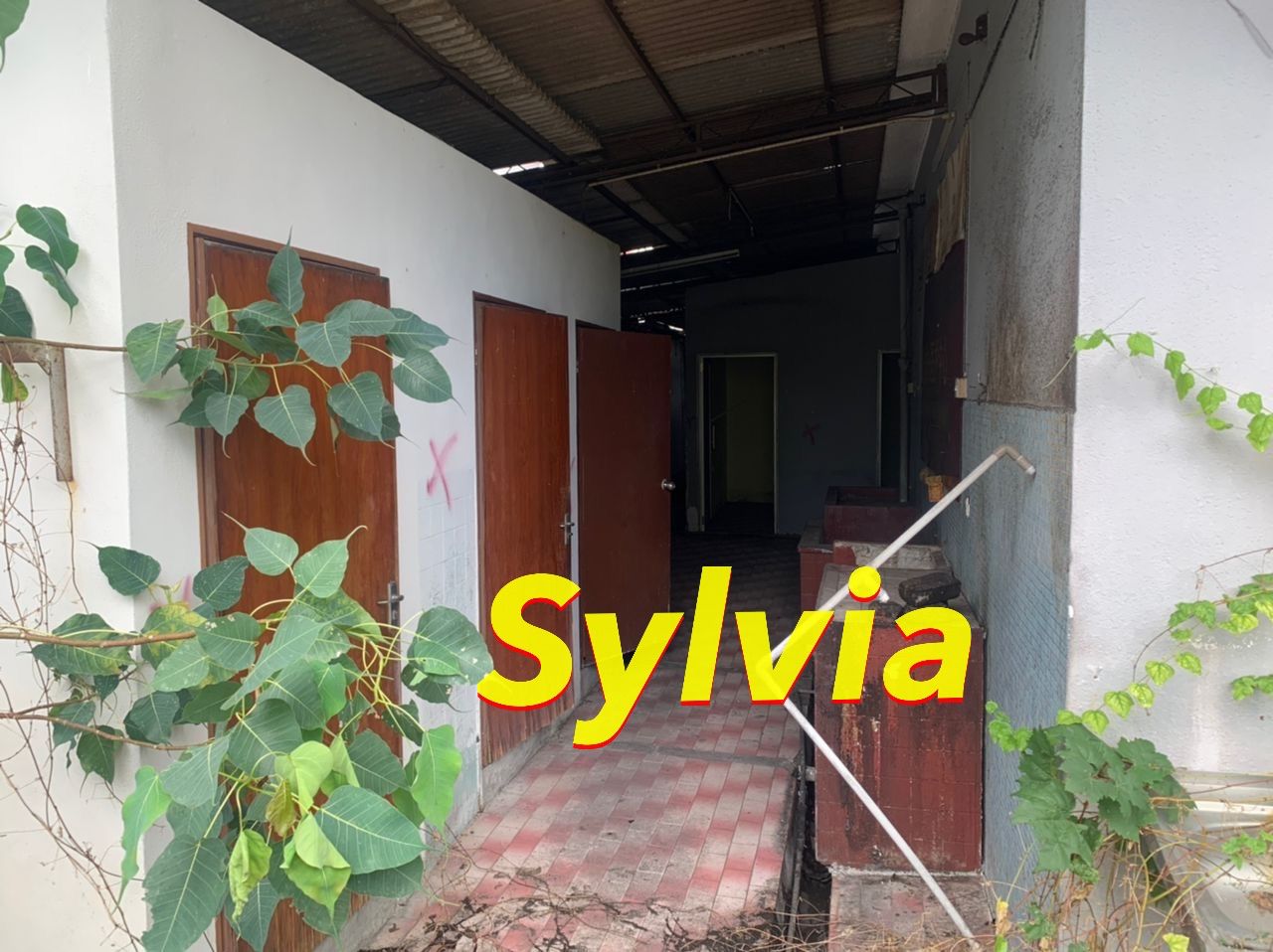 Pulau Tikus Commercial Bungalow Bagan Jermal - photo 6