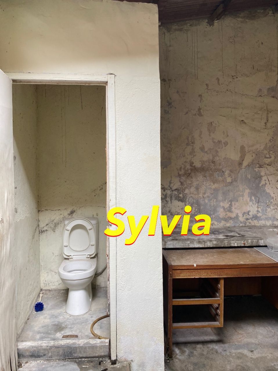 Lebuh Melayu 2 Storey Shop House Georgetown - photo 5
