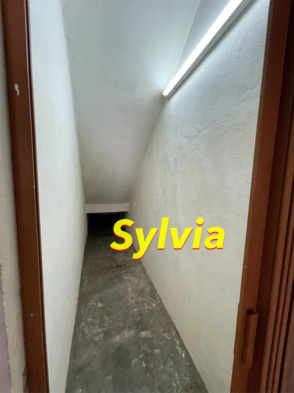 Jelutong 1600sf Ground Floor Corner Shop Lot - photo 5