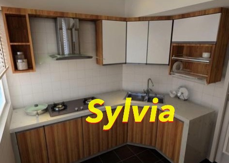 Mar Vista Penthouse 4 Rooms Batu Ferringgi - photo 5