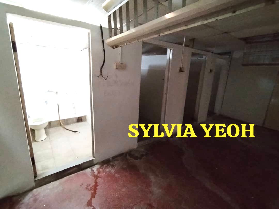 Pulau Tikus 2 STRY SEMI D HOUSE Jalan Jones - photo 4