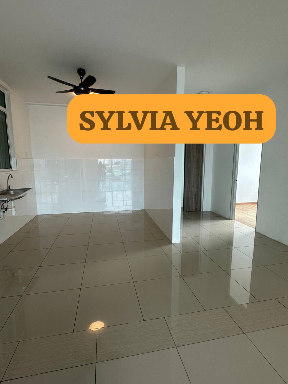 D Mansion 1450SFT 4 ROOMS Bukit Dumbar Jelutong - photo 2