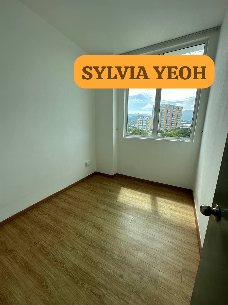 D Mansion 1450SFT 4 ROOMS Bukit Dumbar Jelutong - photo 5