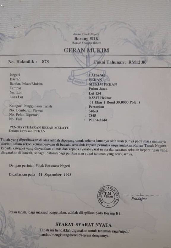 TANAH PERTANIAN PULAU JAWA, PEKAN - photo 3