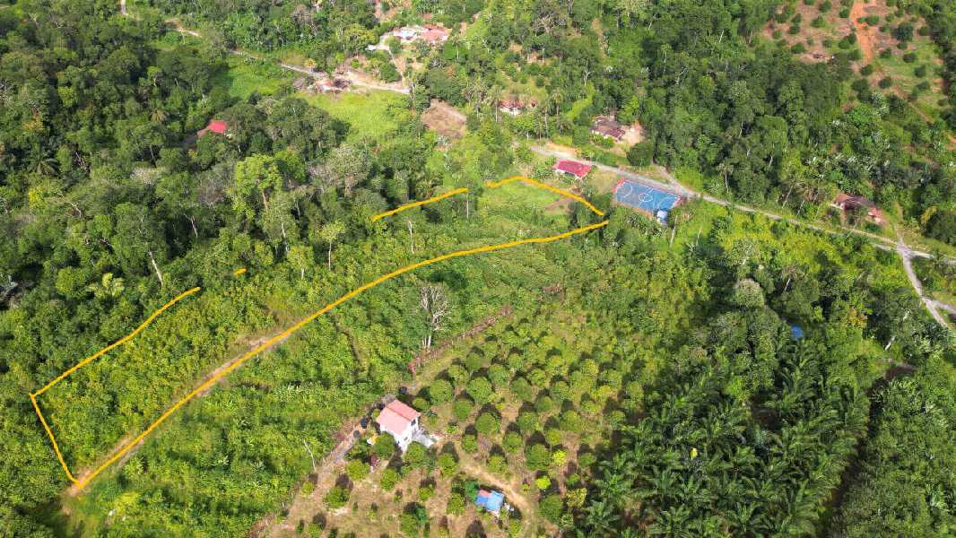 Tanah Pertanian Kuala Klawang For Sale - photo 3