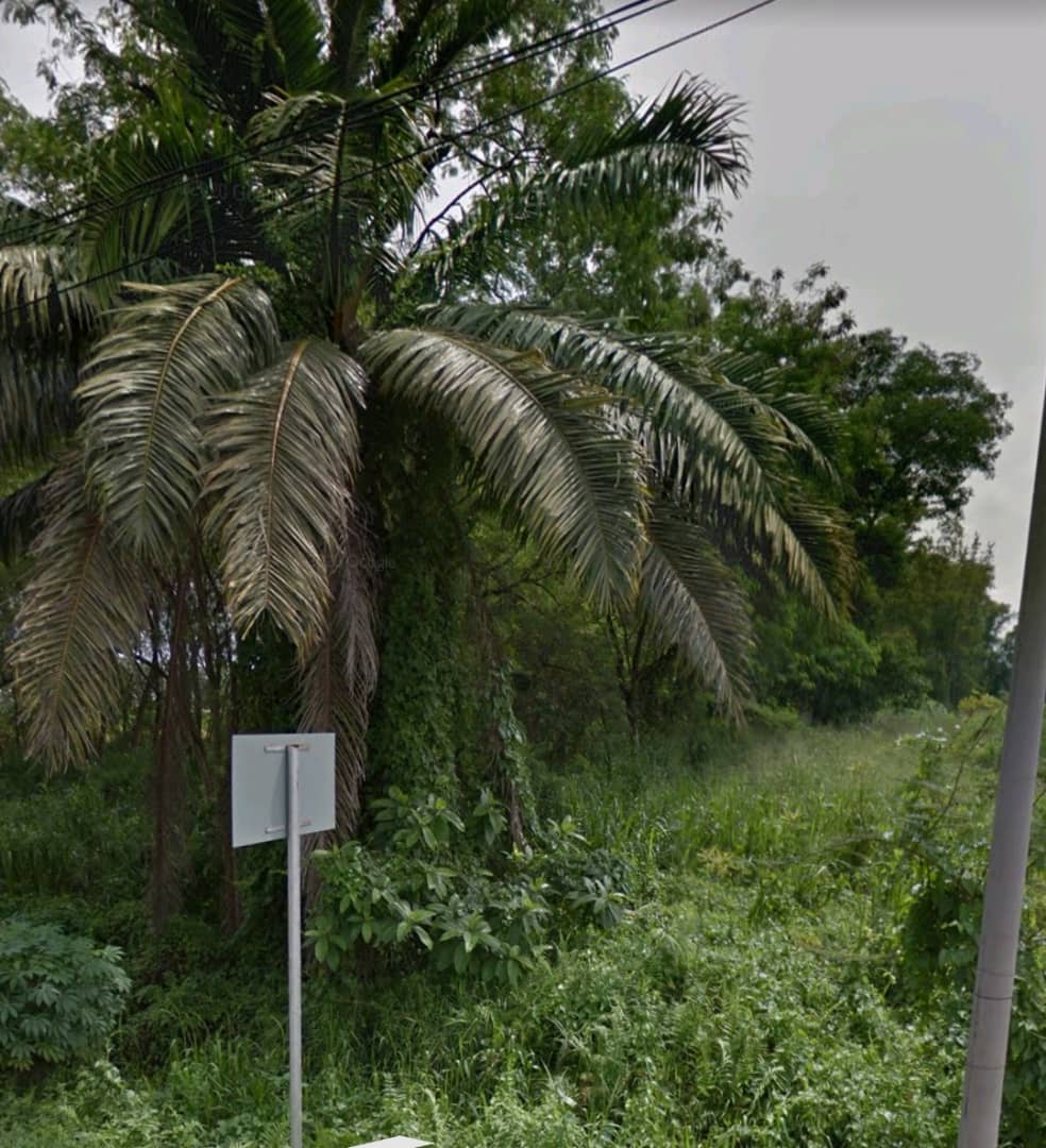 Simpang Tiga Ijok industril land for sale - photo 2