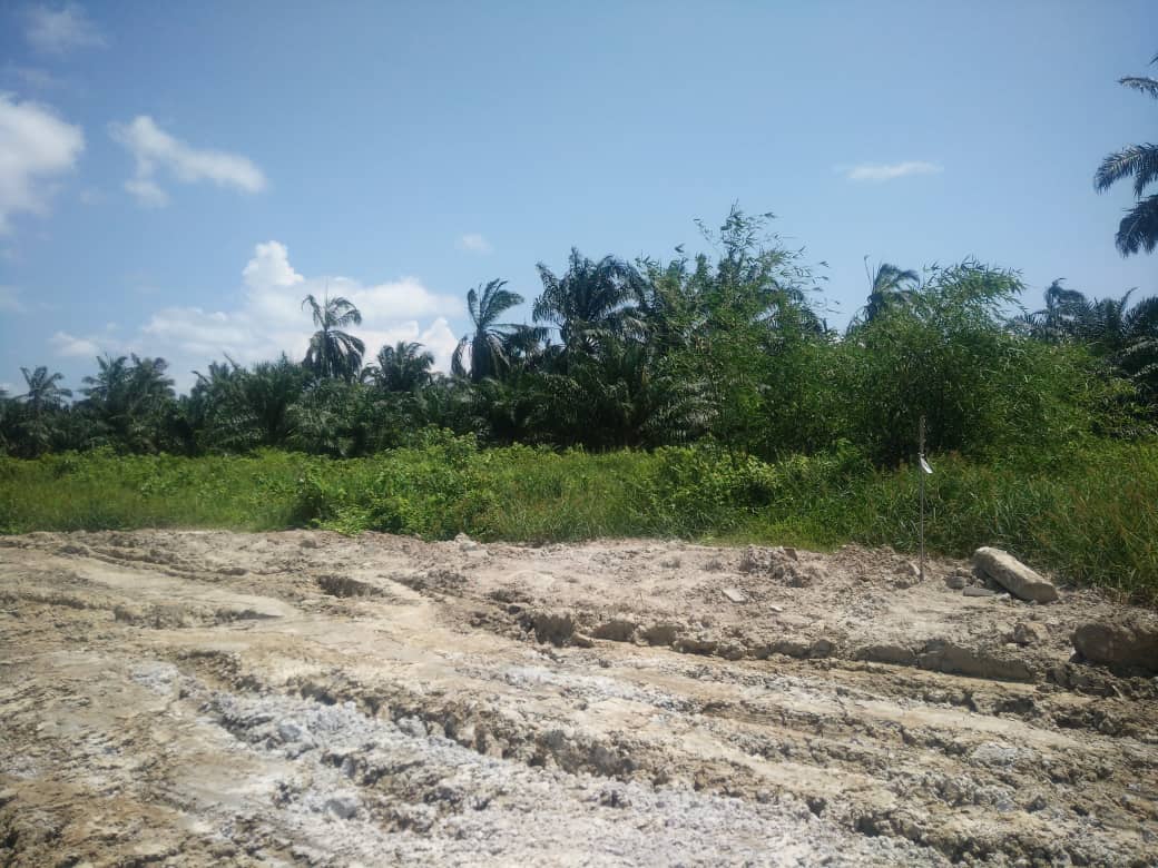 4 UNIT TANAH LOT PULAU INDAH KLANG - photo 2