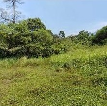 TANAH LOT 14,000 SQFT DENGKIL - photo 4