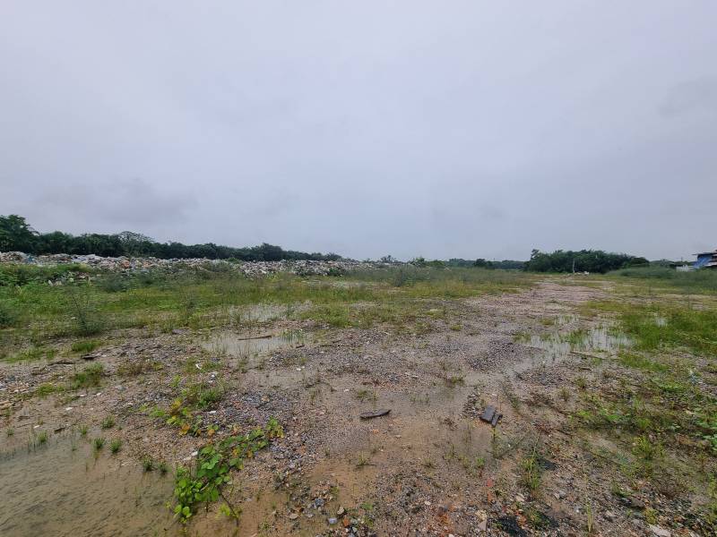 Flat Land Car Access Tropicana Aman 2 Acres Land - photo 2