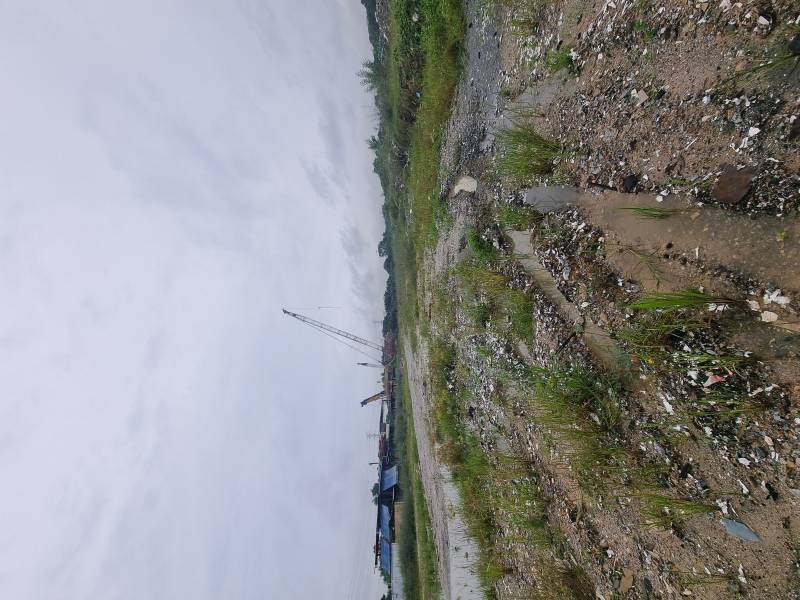 Flat Land Car Access Tropicana Aman 2 Acres Land - photo 4