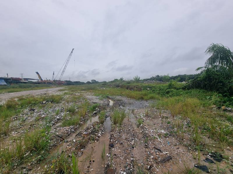 Flat Land Car Access Tropicana Aman 2 Acres Land - photo 6