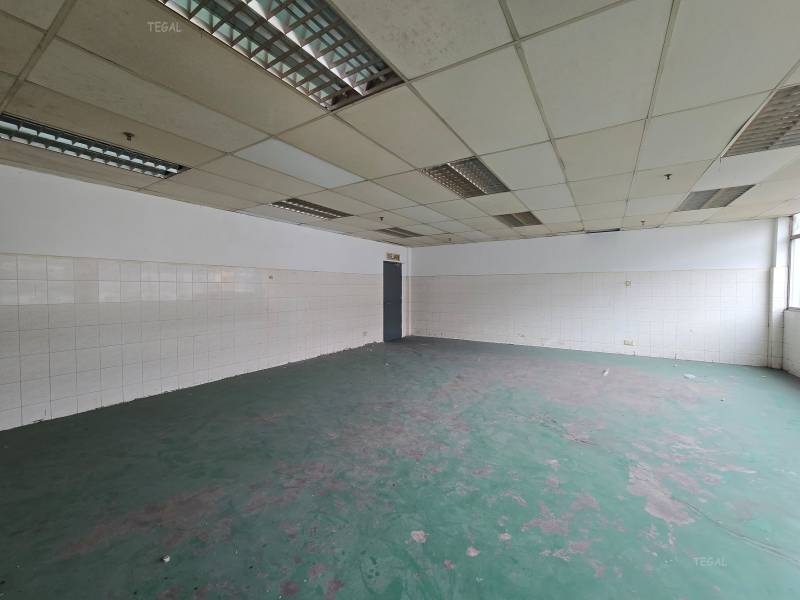 Ready Cf Semi Detached Factory North Port - photo 3