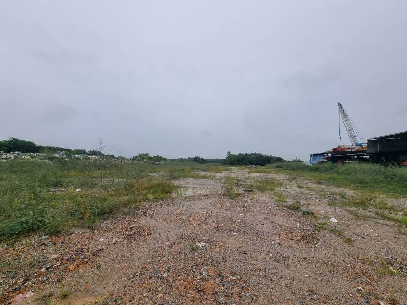 Flat Land Car Access Tropicana Aman 2 Acres Land