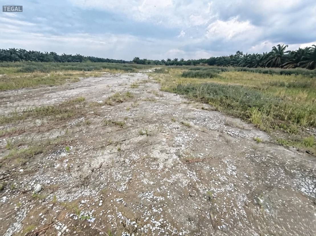 Below Market Telok Gong Port Klang Land For Sale