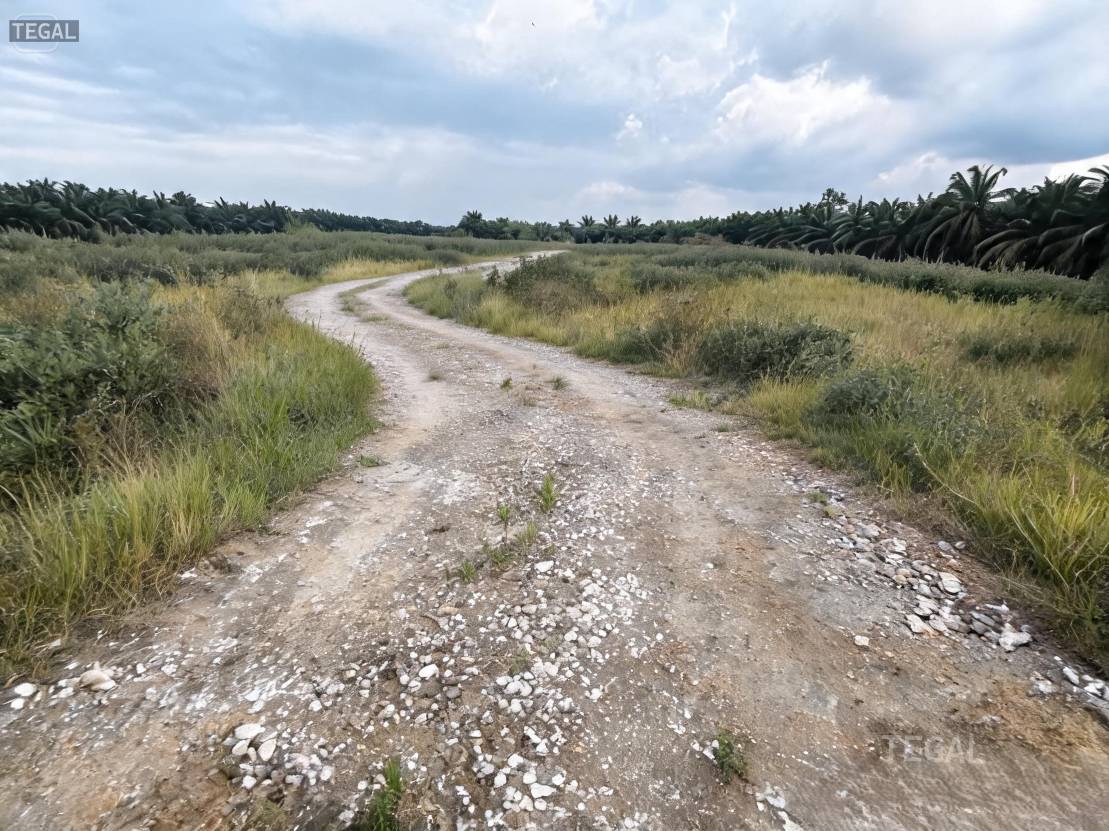Below Market Telok Gong Port Klang Land For Sale - photo 2