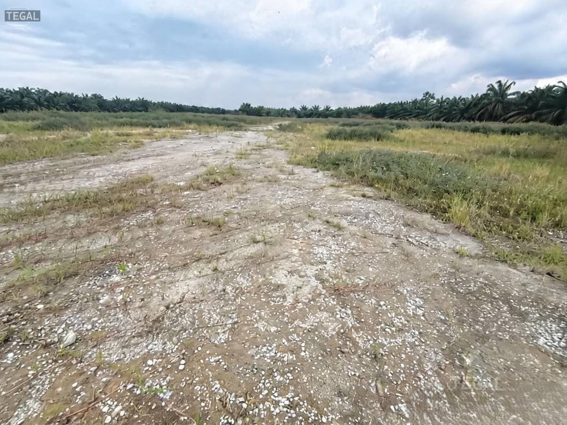 Below Market Telok Gong Port Klang Land For Sale - photo 5
