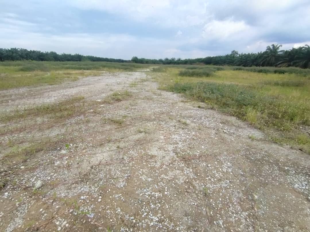 Below Market Telok Gong Port Klang Land For Sale - photo 6