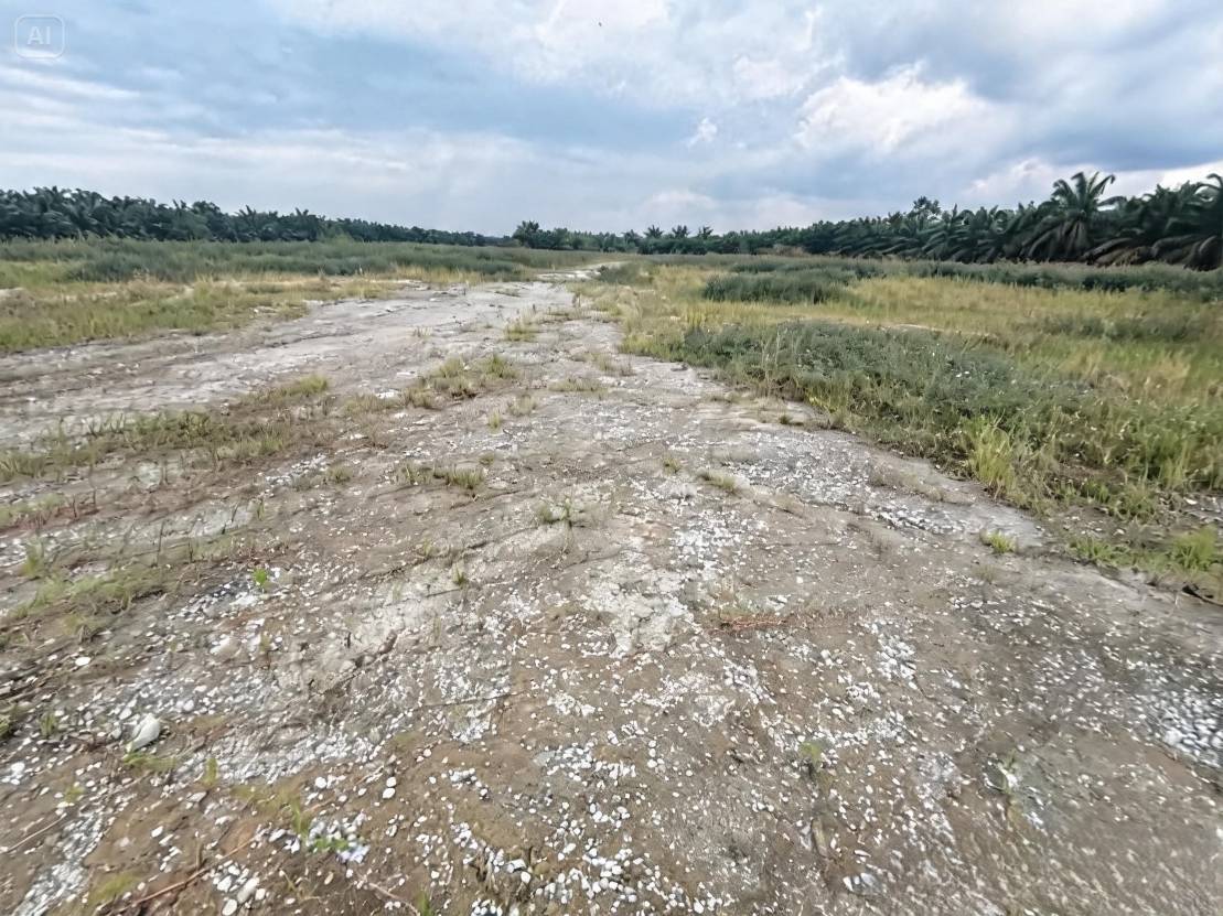 Below Market Telok Gong Port Klang Land For Sale