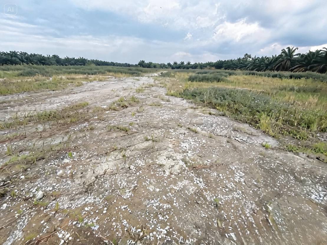 Below Market Telok Gong Port Klang Land For Sale - photo 3