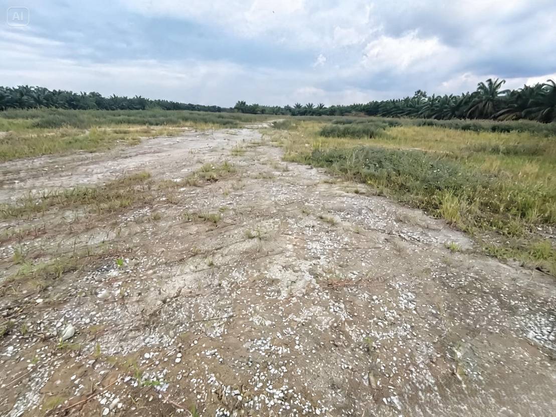 Below Market Telok Gong Port Klang Land For Sale - photo 5