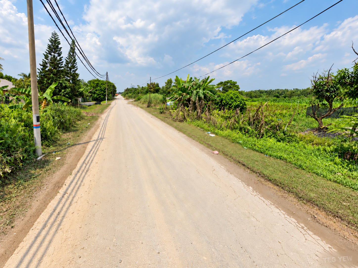 Flat Land 2 Acres Johan Setia With Tnb Syabas - photo 4