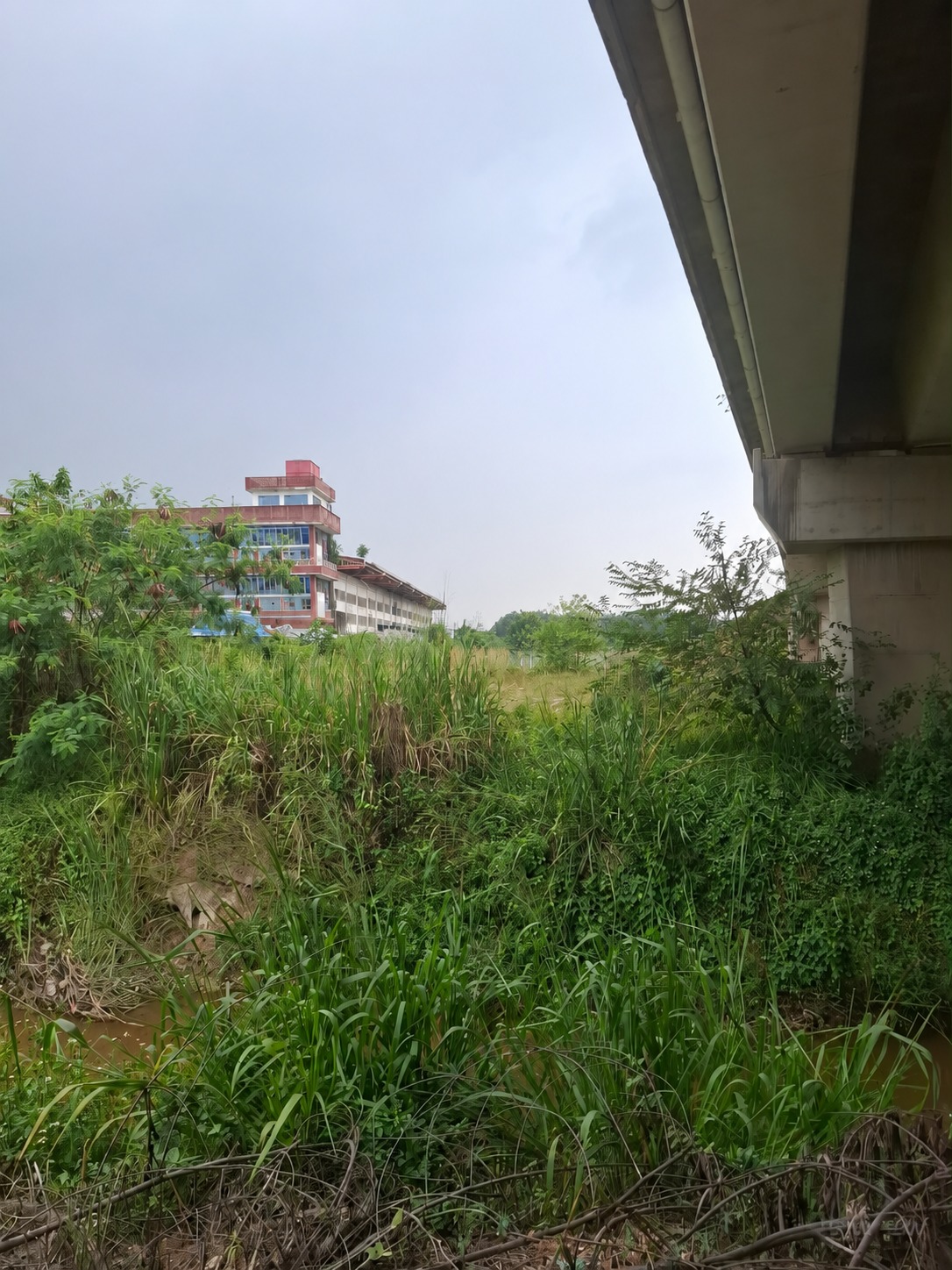 Flat Land Beside Wce Highway Kapar - photo 2