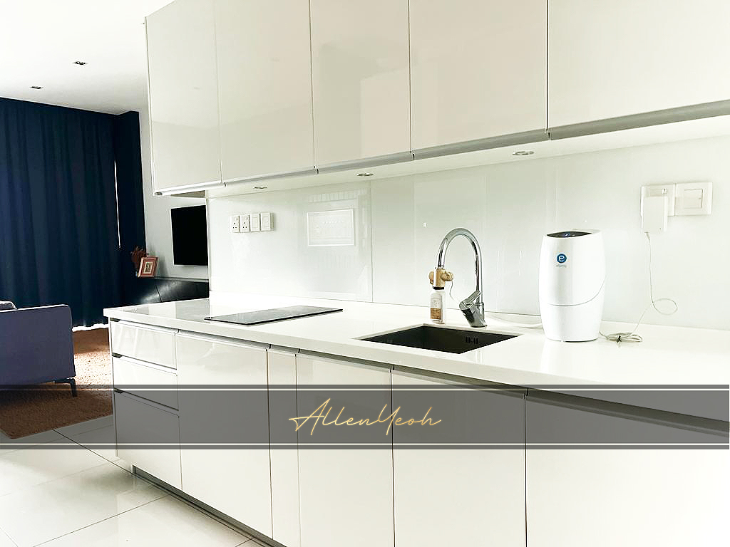 The Light Collection 1, Coral View Fully Reno - photo 3